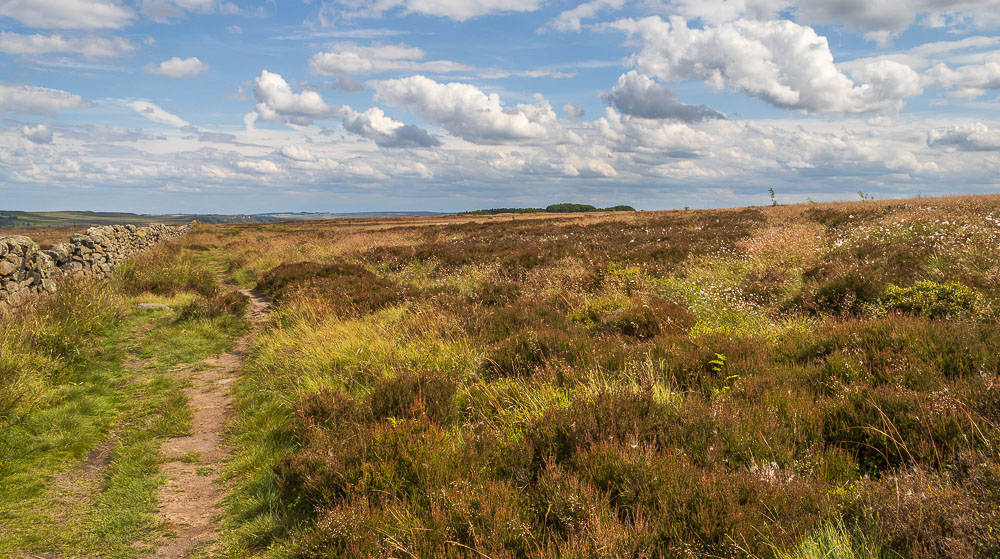 Eyam Moor